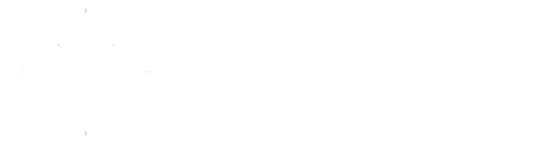 polar star logo blanco horizontal